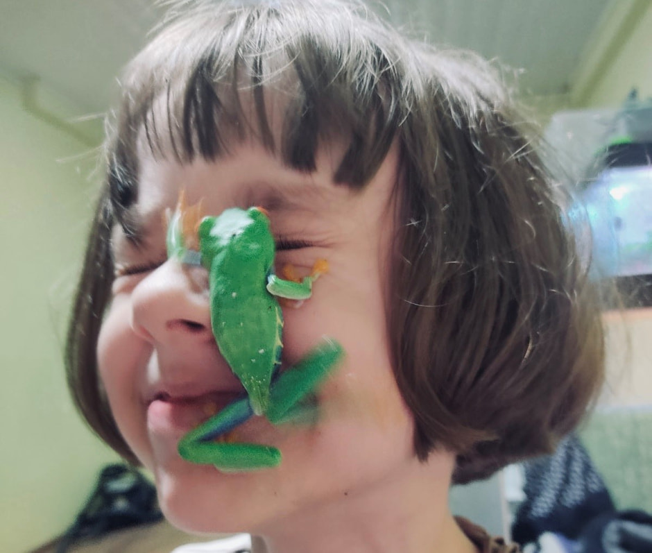 Домашние гады 13.jpg Домашние гады 13.jpg