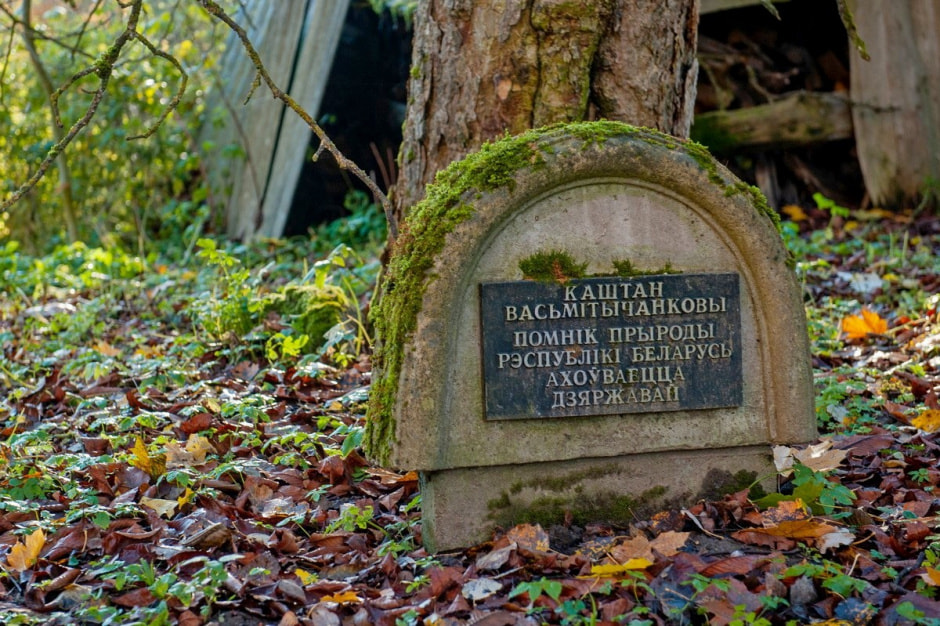 Солдатовы и усадьба Дуниных-Раецких 6.jpg