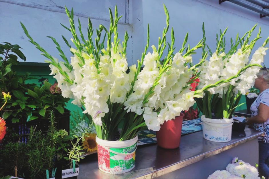 Продавцы на Комаровке 10.png