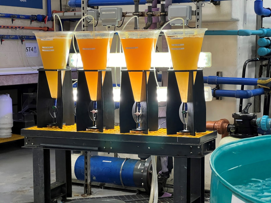 Куда пойти в Дубае с детьми 13.jpg