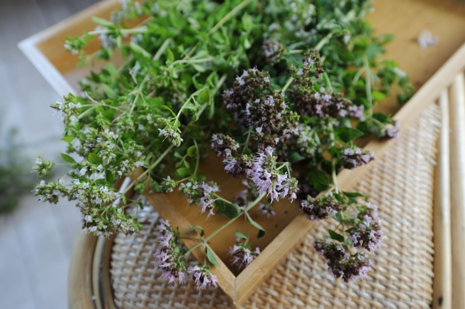 Травяные сборы в Беларуси 9.jpg