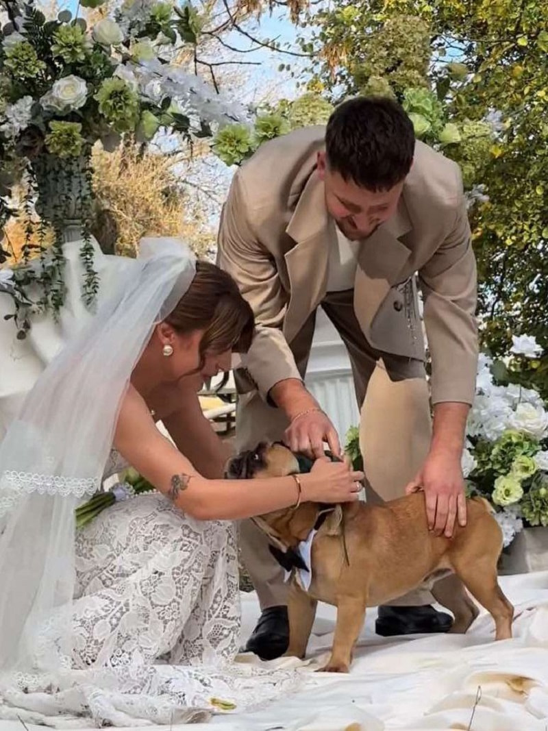 бельдог вынес кольца1.jpg