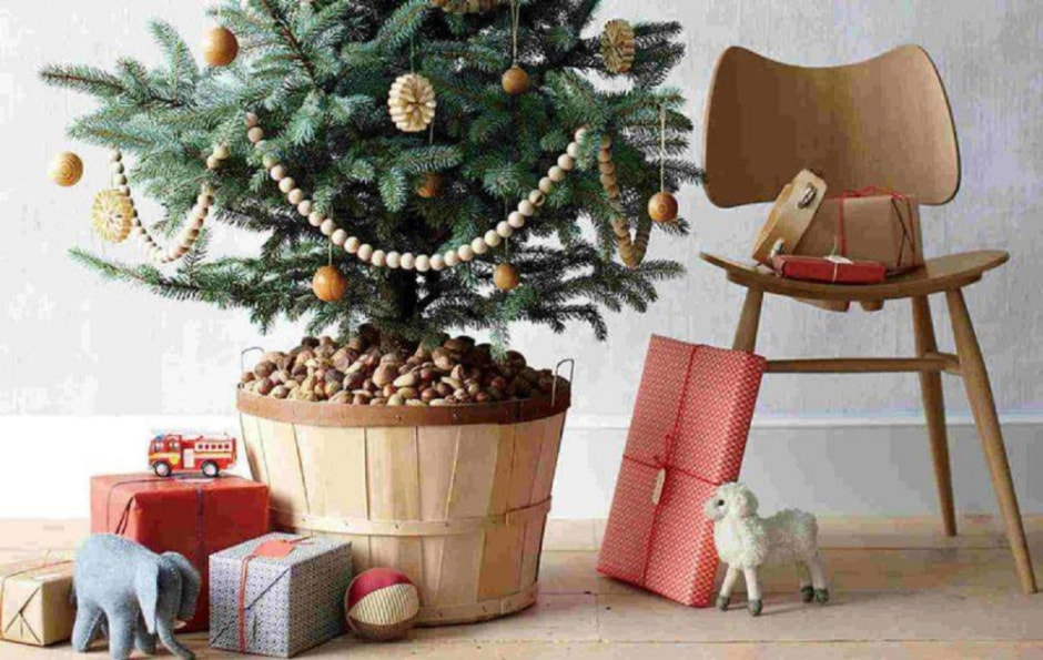 Елка в субстрате.jpg