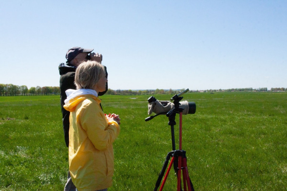 Наблюдаем за сусликами 18.jpg