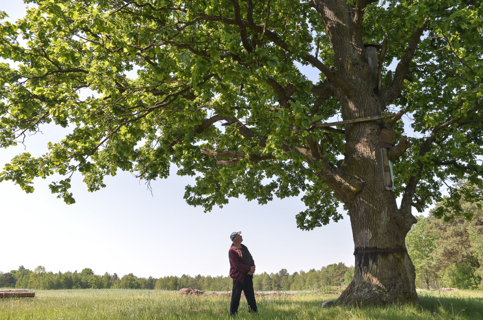 Пчеловод с Полесья 5.png