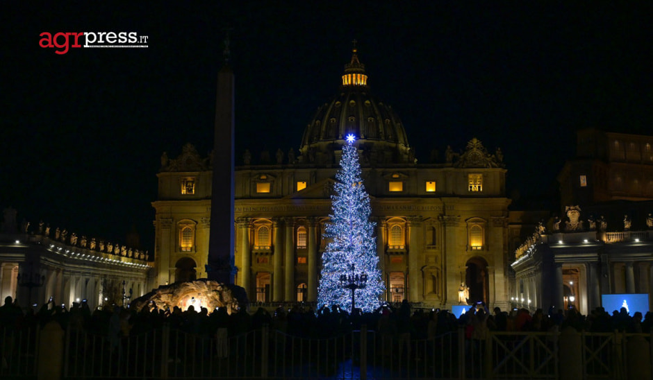 елка-ватикан.jpg