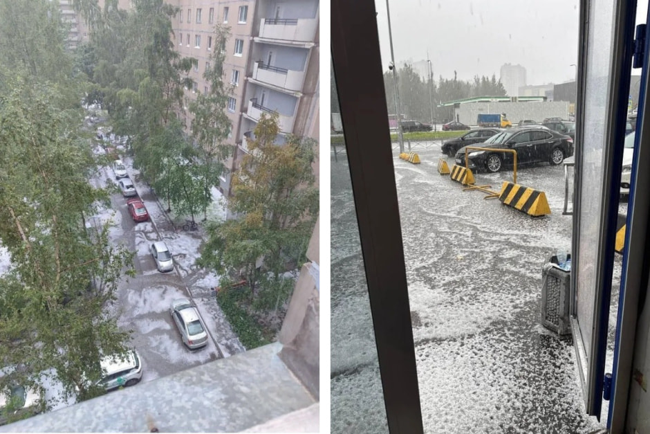 collage.jpg collage.jpg