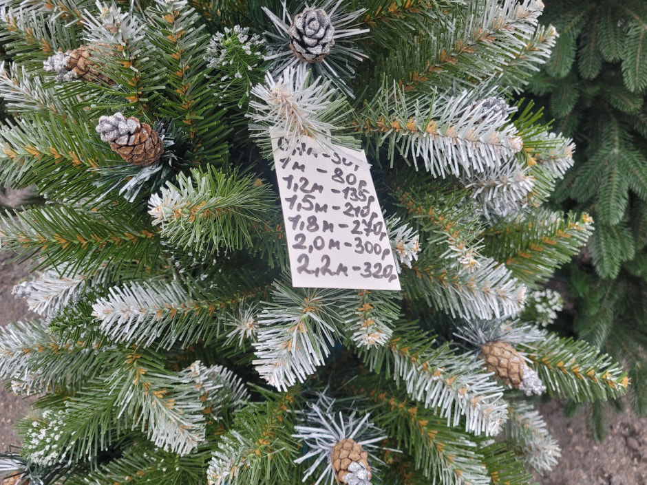 елки, комаровка 1.jpg