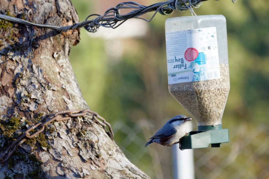 Подкармливаем птиц зимой 13.jpg