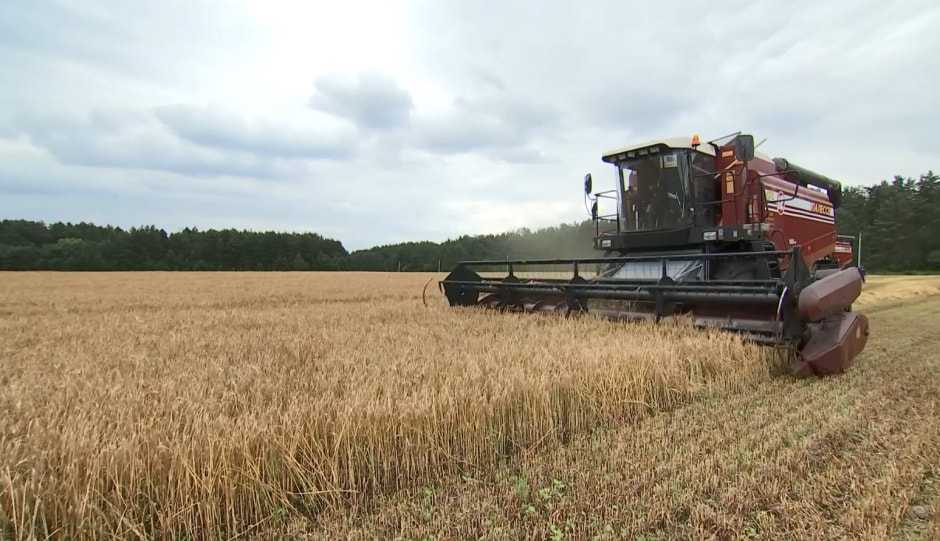 Сбор урожая