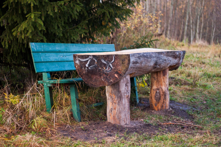 Агроусадьба Сосновый Бор 9.jpg