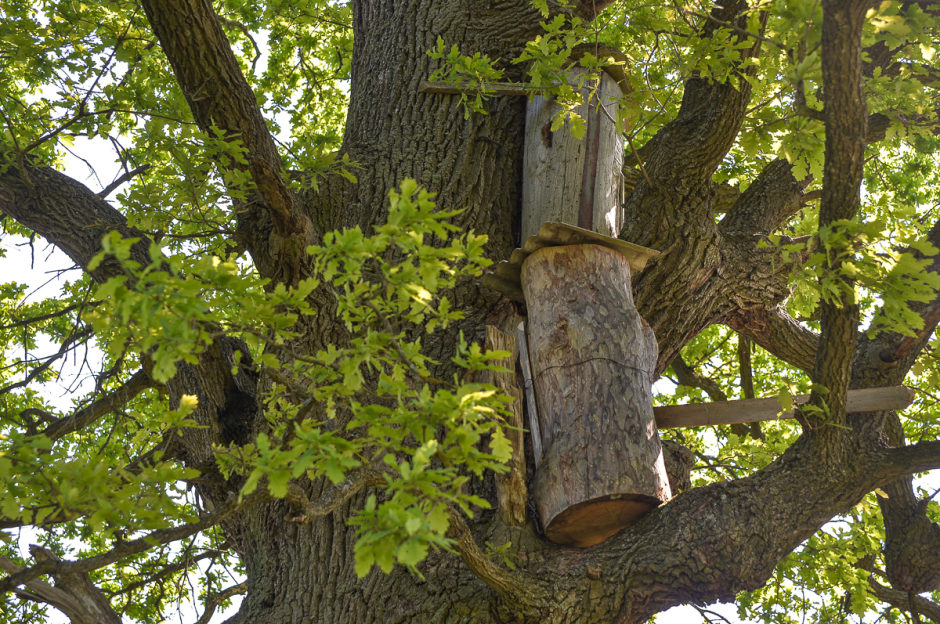 Пчеловод с Полесья 3.png