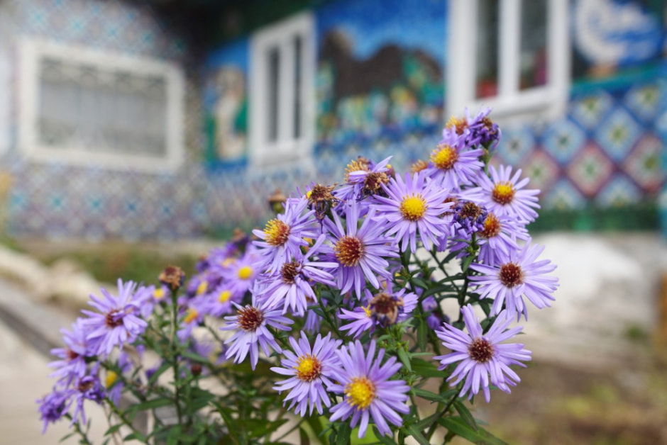 Дом обитый пластиковыми крышками 14.jpg