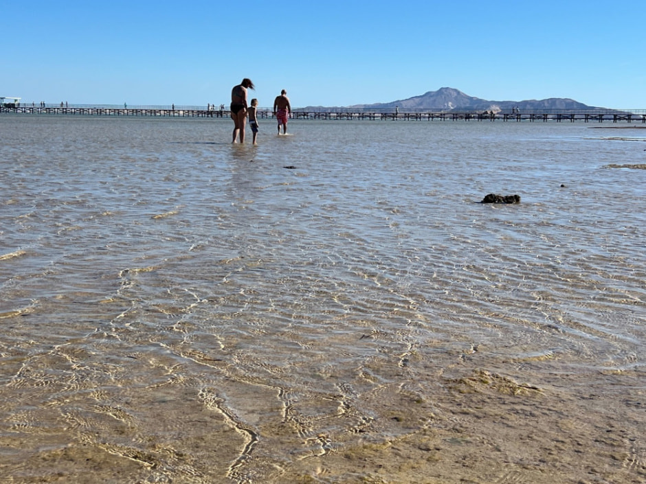 Отдых в Египте зимой 2024 6.jpg