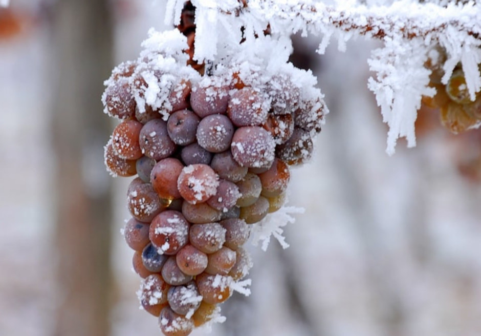 Айсвайн 1.jpg