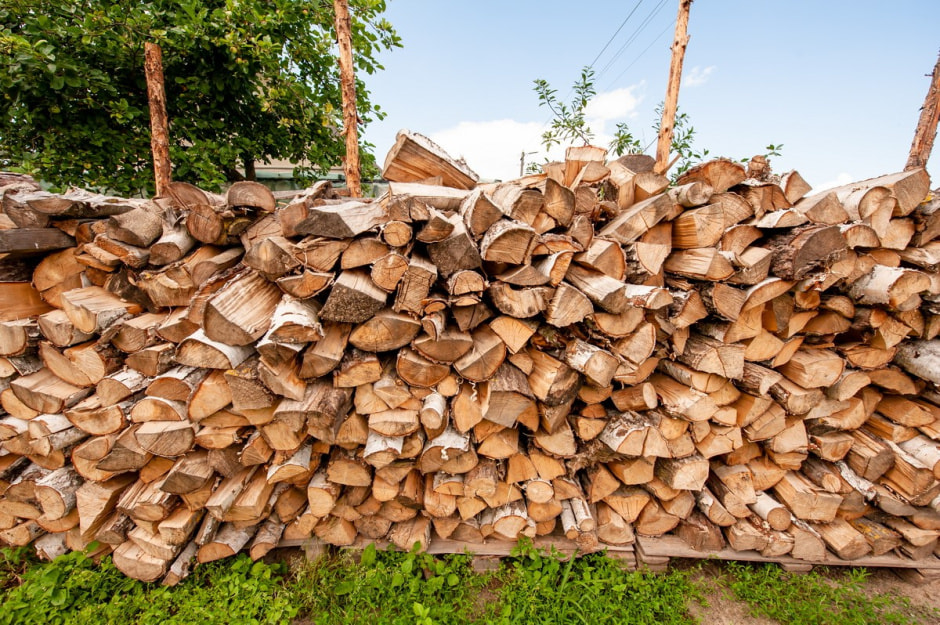 Семья Лой 20 лет выращивает огурцы и помидоры 7.jpg