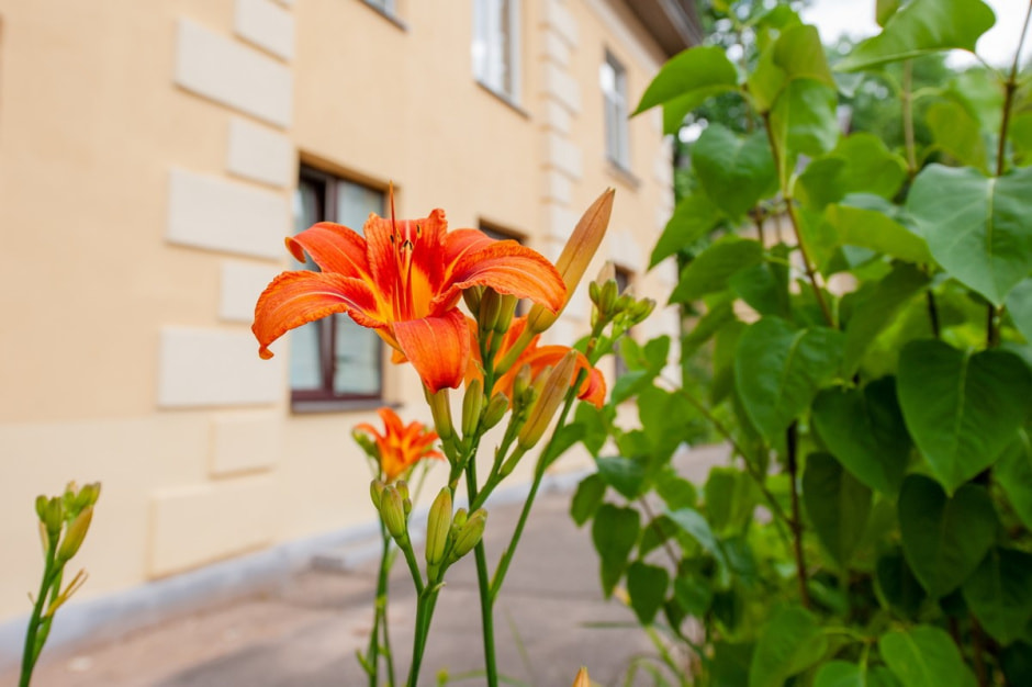 Репортаж из минской Осмоловки 32.jpg