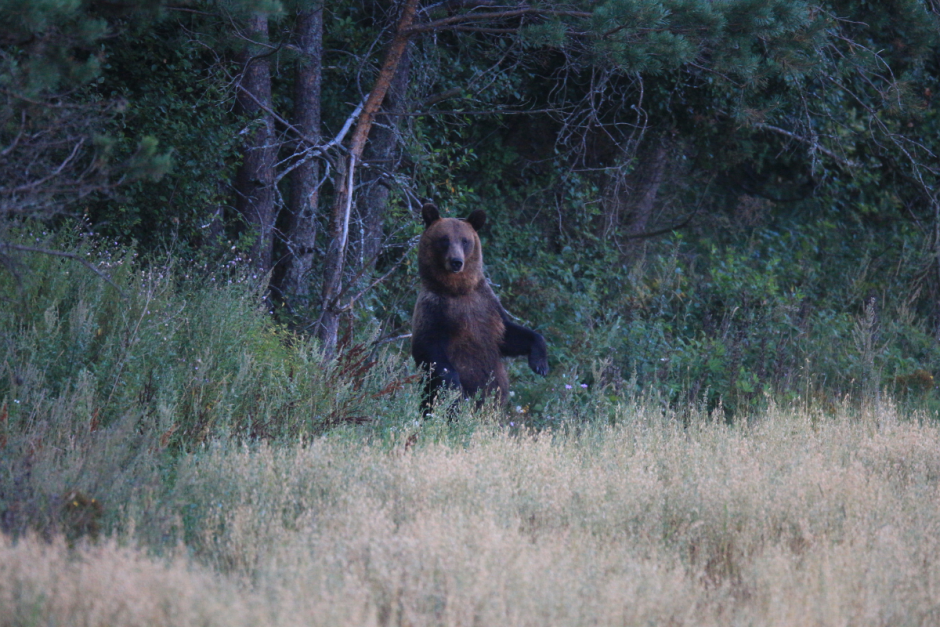 Сергей Плыткевич и его фото 11.png