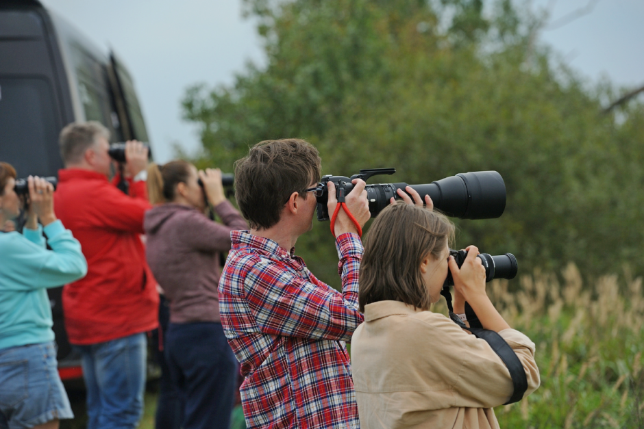 Серые журавли и Ельня 2.png Серые журавли и Ельня 2.png