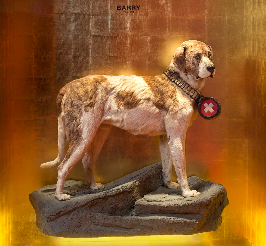 Чучело Барри 