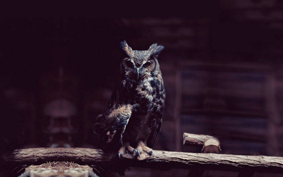 Белорусские вампиры 3-1.jpg