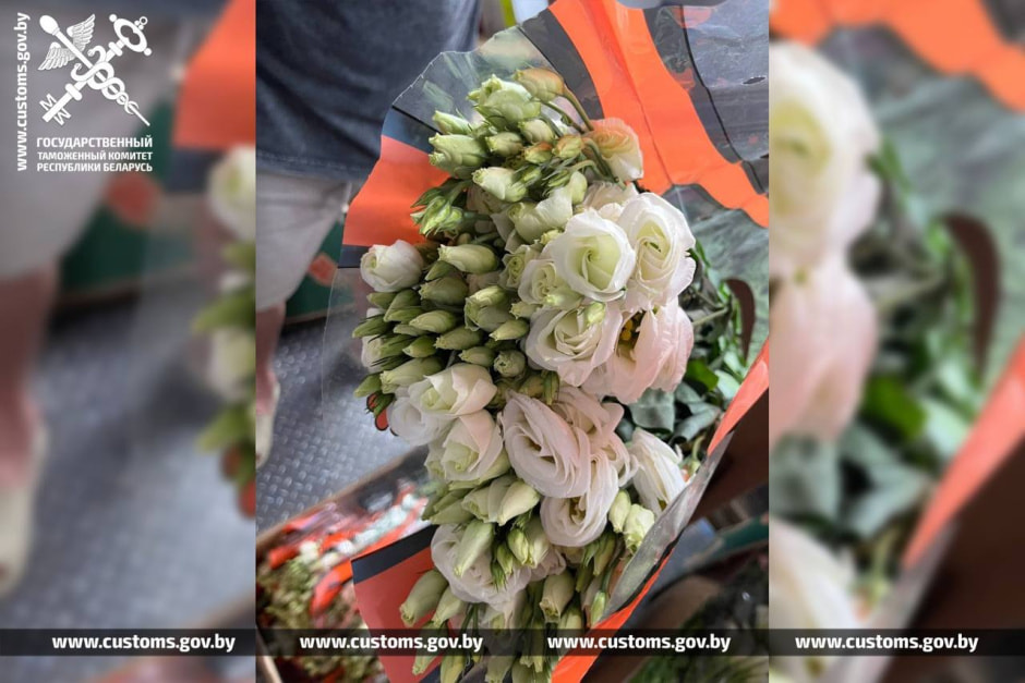 Нелегальные цветы в Горках