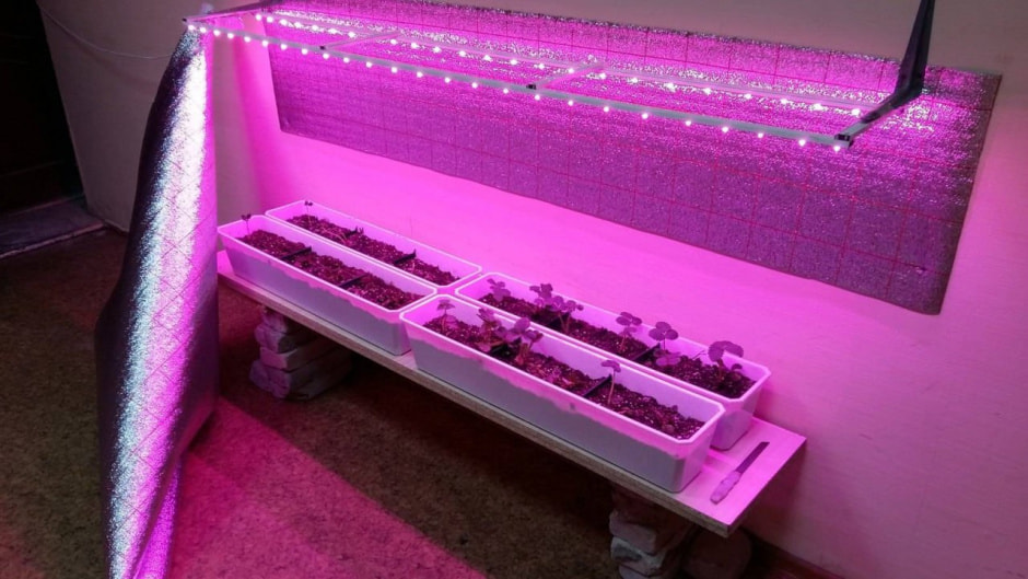 подоконник под ультрафиолетом