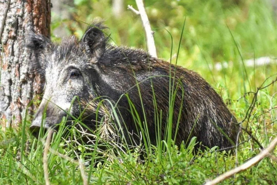 Фотограф-врач Инна Субботина 14.jpeg