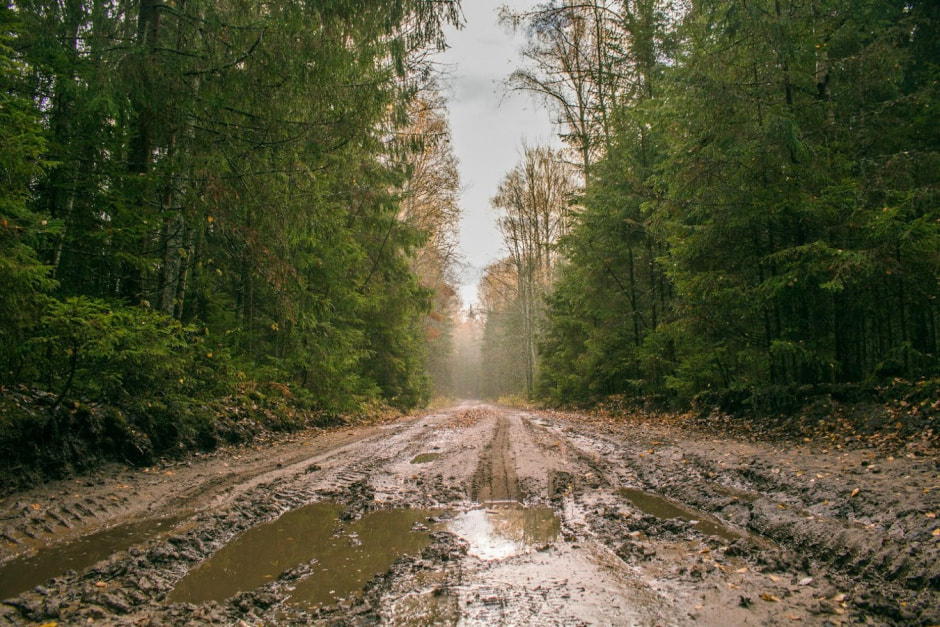 Одни на целый хутор Красный бор 1.jpg