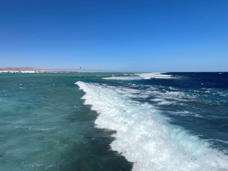 Отдых в Египте зимой 2024 3.jpg