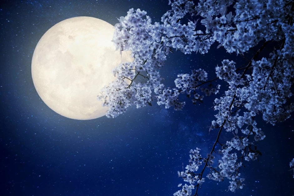 Лунный календарь.jpg