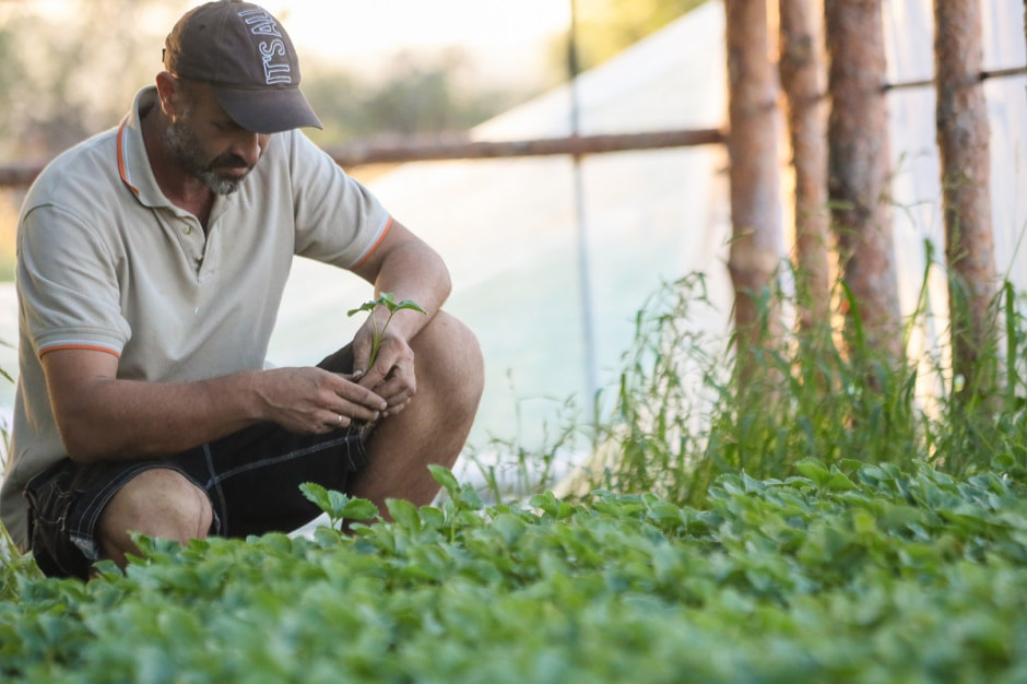 Споровские фермеры из Здитово-30.jpg