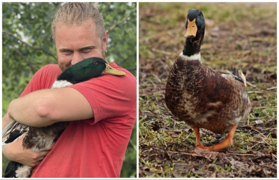 Спасение животных проект Земляне 12.jpg