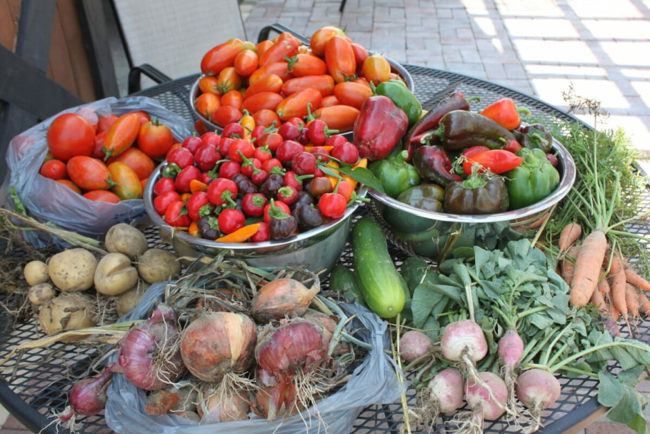 овощи со своего огорода