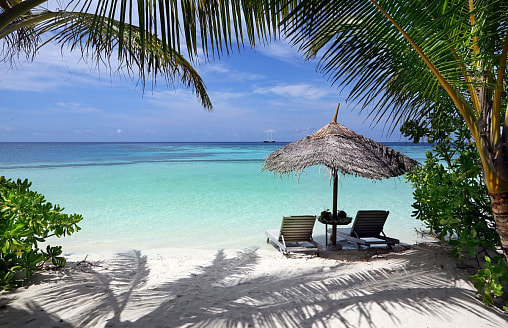 Стало известно, когда “Белавиа” может запустить прямые рейсы на Мальдивы