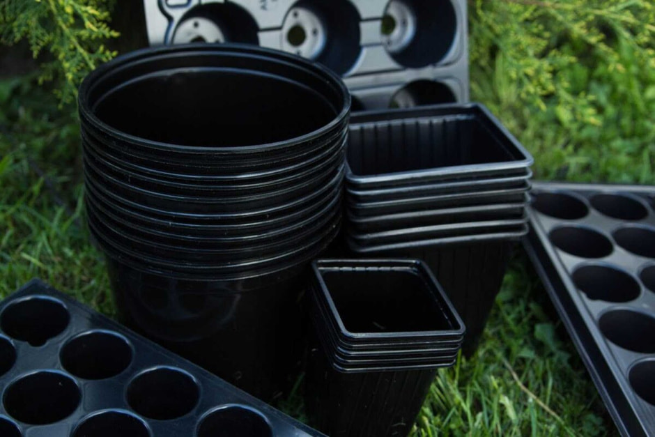 photo_2025-02-03_20-51-39 (3).jpg