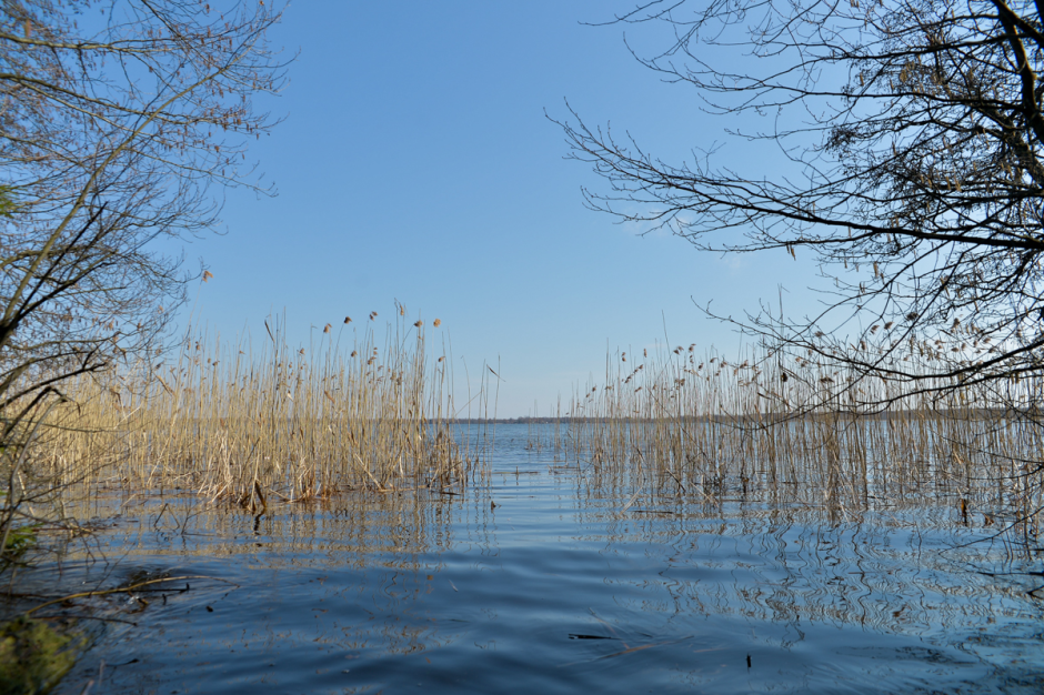 Прогулка с орнитологом 5.png