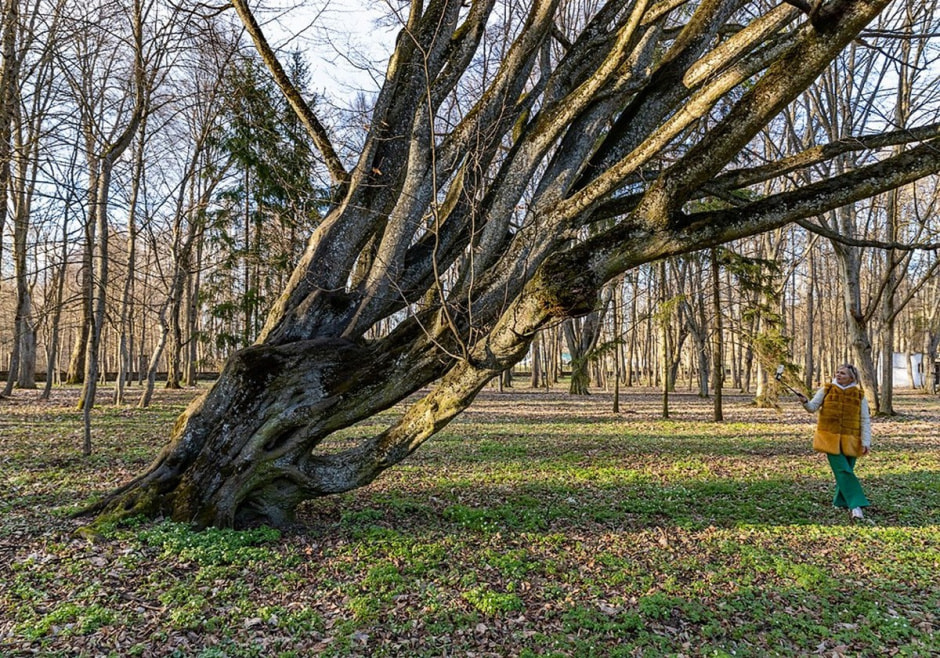 Несвижский замок и окрестности 7.jpg