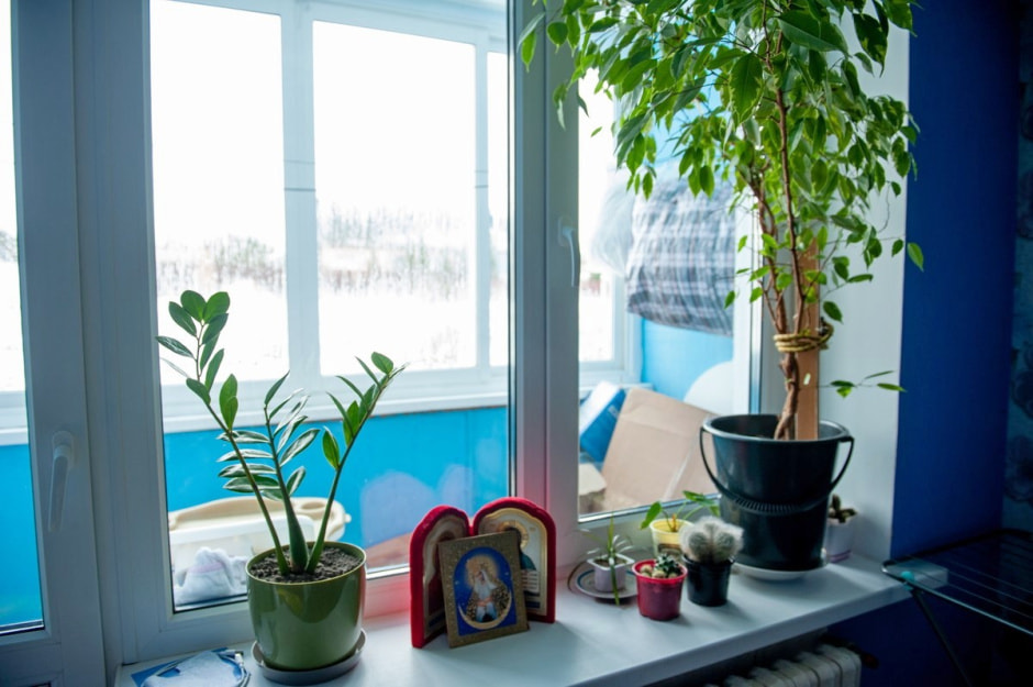 Украинские беженцы в Беларуси 6.jpg