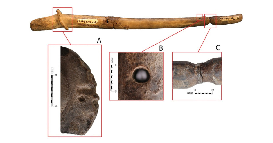 Музыкальный инструмент.jpg