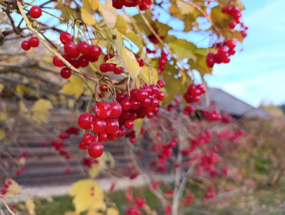 Оранжевый уровень опасности. Чего еще ждать белорусам от погоды в воскресенье, 27 октября.jpg