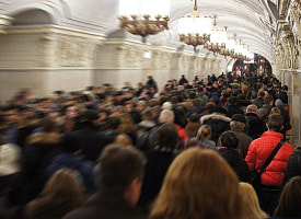 Учёные предложили сократить население Земли до 4 млрд человек – это нужно для спасения планеты