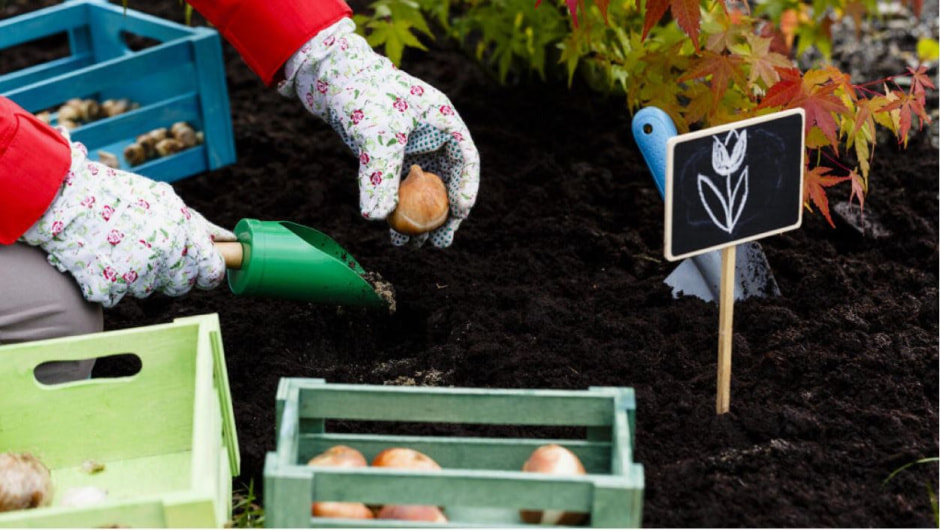 осенние посадки1.jpg