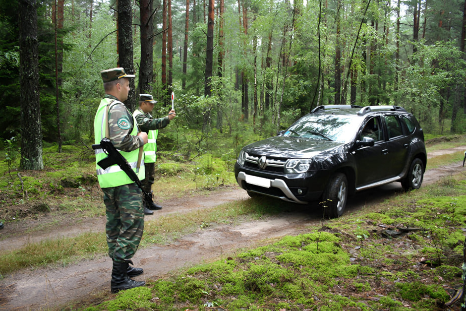 Незаконная охота