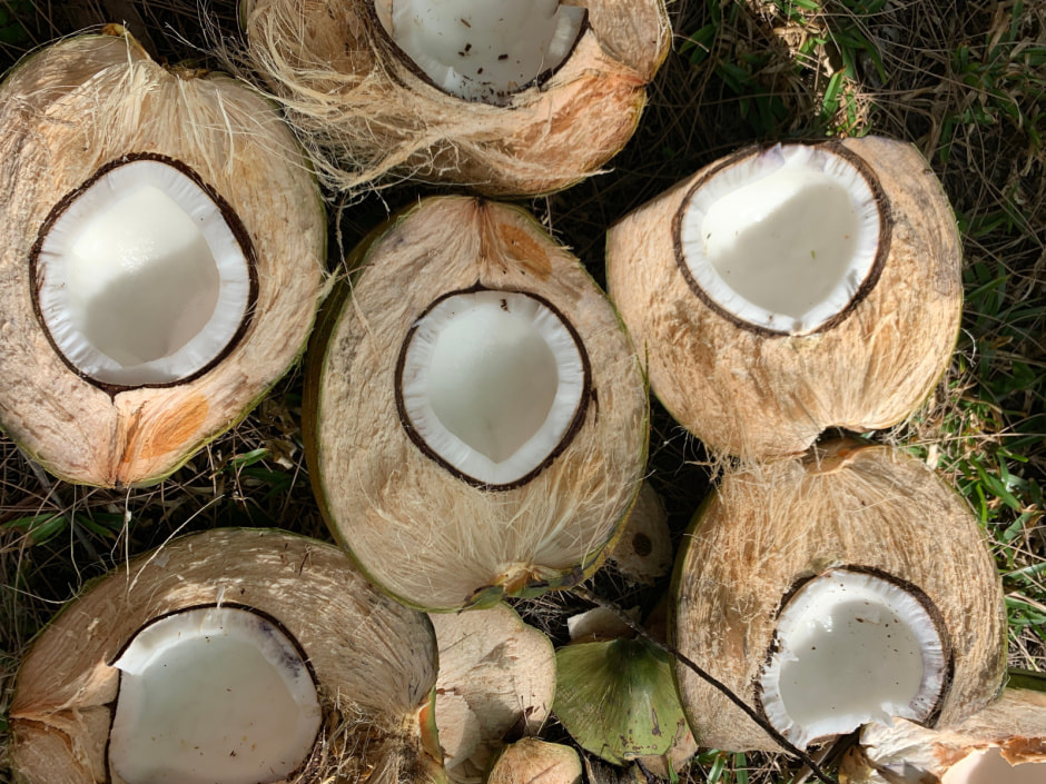 Мадагаскар (16).jpeg Мадагаскар (16).jpeg