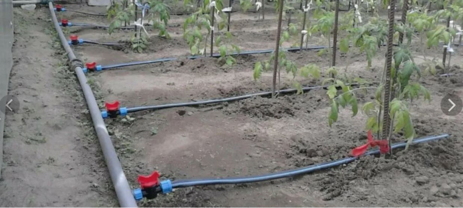 Полив на участке 