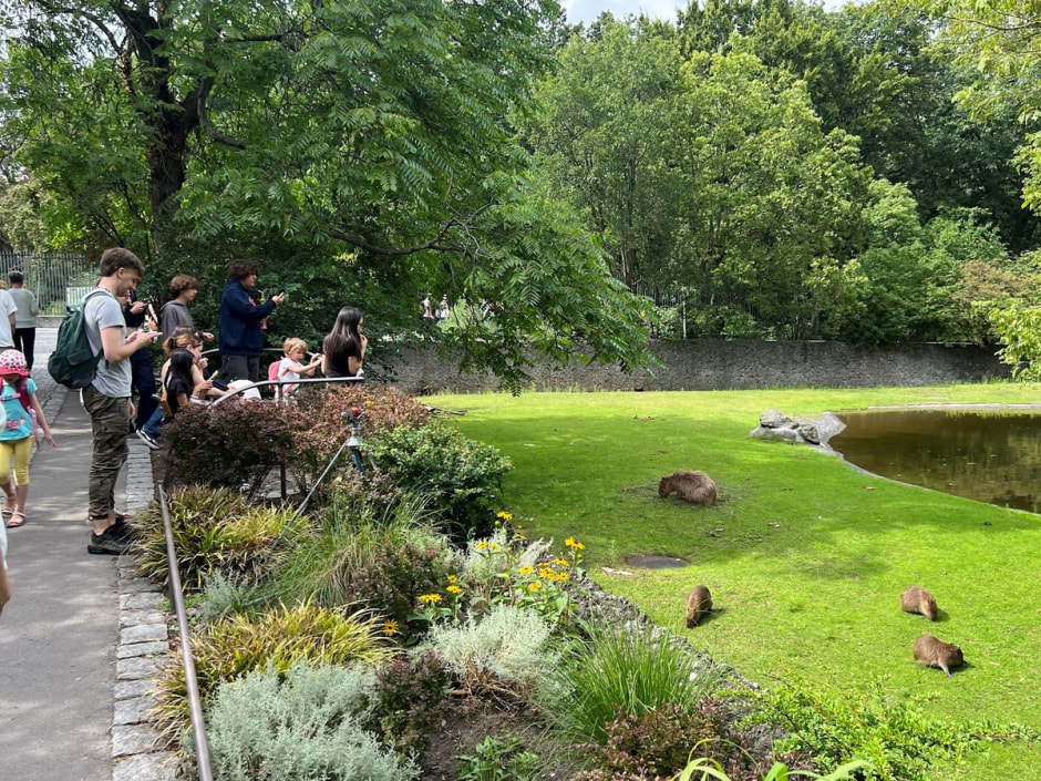 Берлинский зоопарк 16.jpg