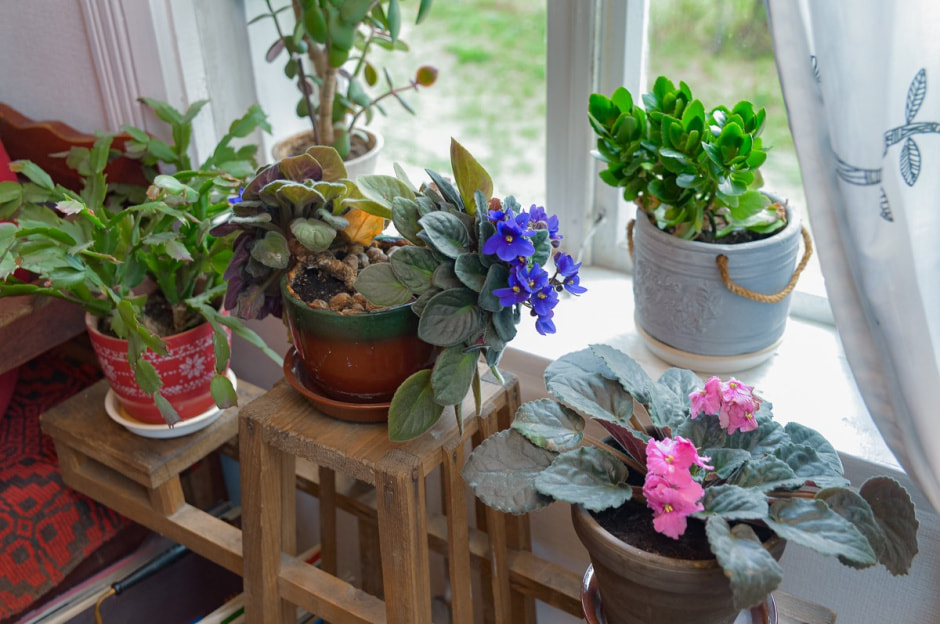 Репетитор в деревне 13.jpg