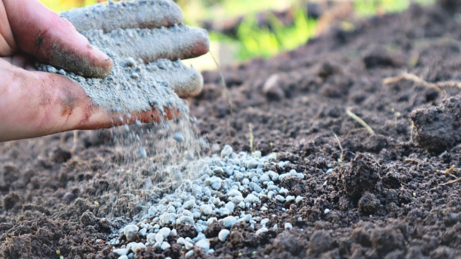 Какие удобрения вносить осенью под перекопку земли (3).jpg