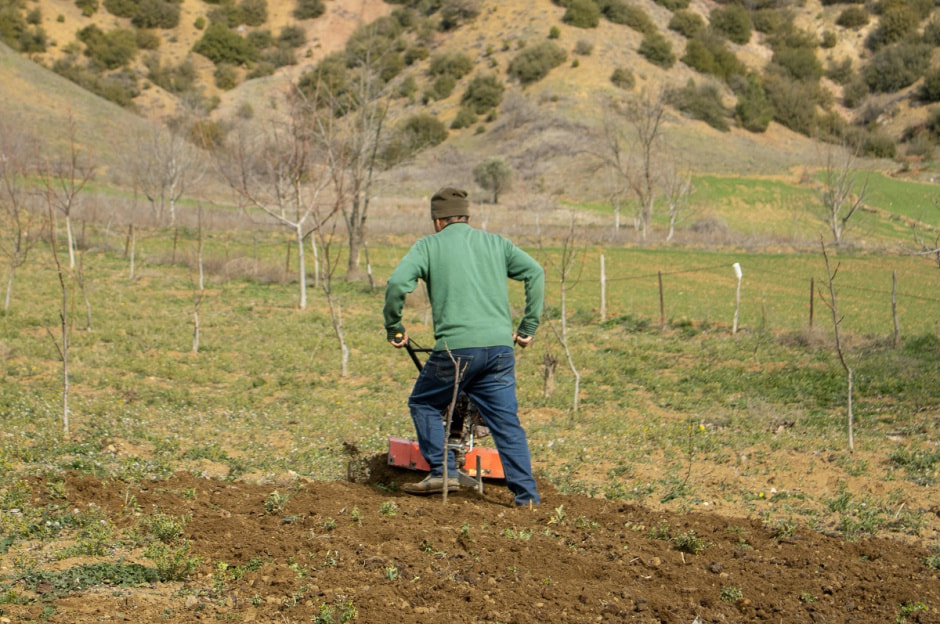 сельское хозяйство-ДНК